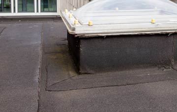 disadvantages of Huish flat roofs